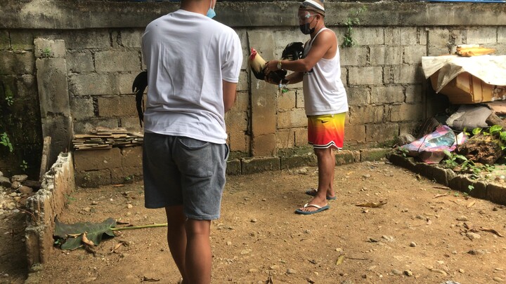 Pula wins hehe