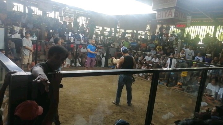 1st FIGHT June 22 @albuera cockpit _ DRAW