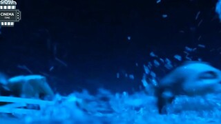 phim Thảm Họa con Tàu Khổng Lồ Titanic 4 #reviewphim