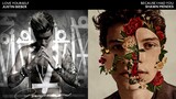 Justin Bieber / Shawn Mendes - Love Yourself Because I Had You (Mashup)