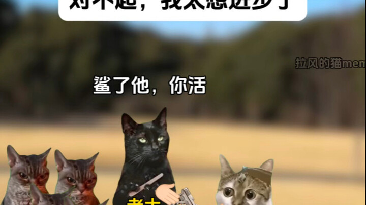 ขอโทษนะ ฉันอยากพัฒนาตัวเองมากเกินไป