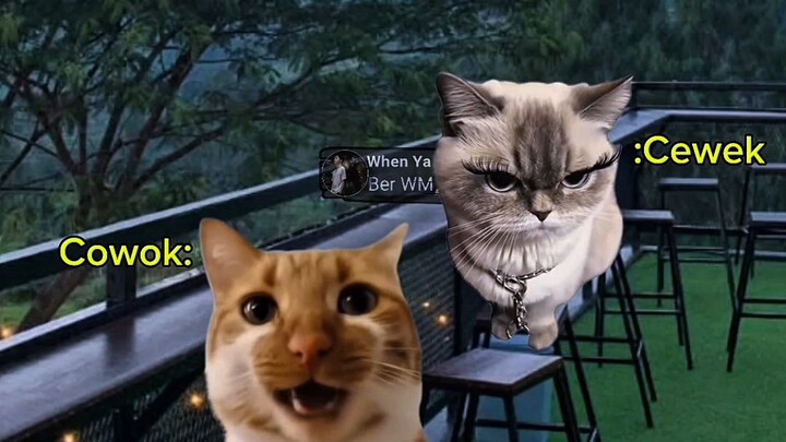 Cewek emang gitu ya 🥲#fyp #meme #memekucing