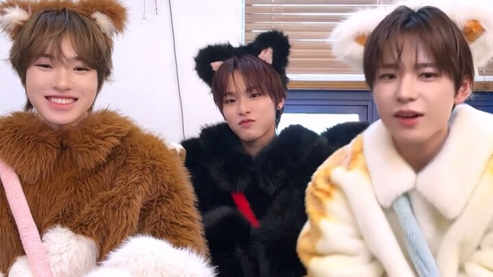 【NCT WISH】Cat, Cat, Guinea Pig Trio