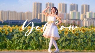 【Inko】秋日暖阳与向日葵🌻Yellow【生日作】