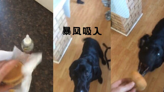 Angin puyuh menyerap!!