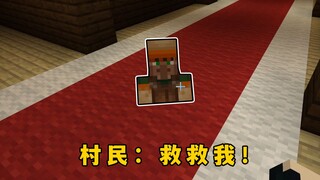 我的世界：2个奇葩种子，林地府邸里长村民了