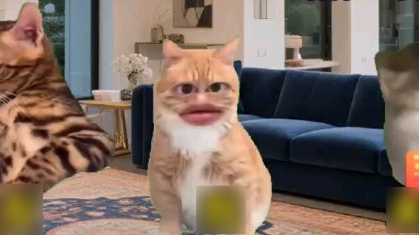 Ketika aku pertama kali pergi ke rumah pacarku