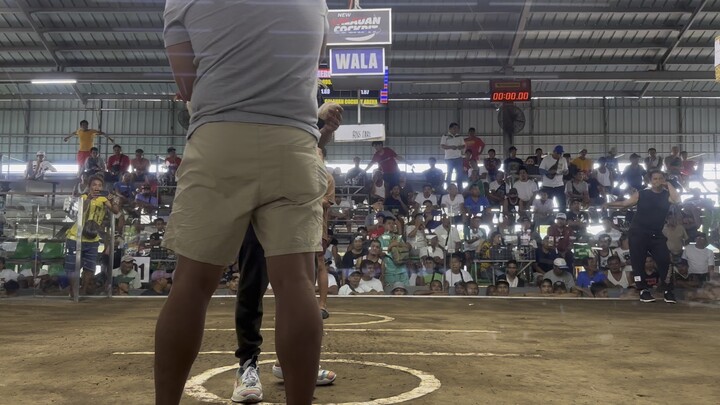 2hits Calauan Black roundhead - Lose