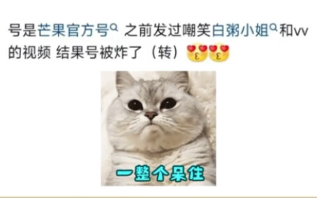 Tài khoản chính thức của Mango bị khóa vì chê bai Dương Dương và Vương Sở Nhiên