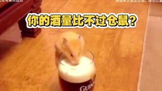 Can't you drink more than a hamster?
