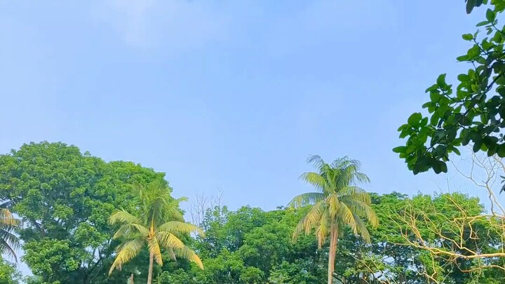 তবুও আমি এই শহরে আজ ও খুজে যাই তোমায় কান্না ভেজা এই দুচোখ আর দেখাবো না তোমায় চাঁদ কিংবা তোমার আলো আম