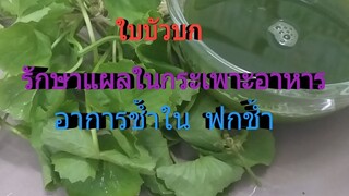 สูตรรักษาแผลในกระเพาะอาหารหายขาด อาการชำ้ใน ฟกช้ำหายชัว /โดยฮอยไทยอีสาน