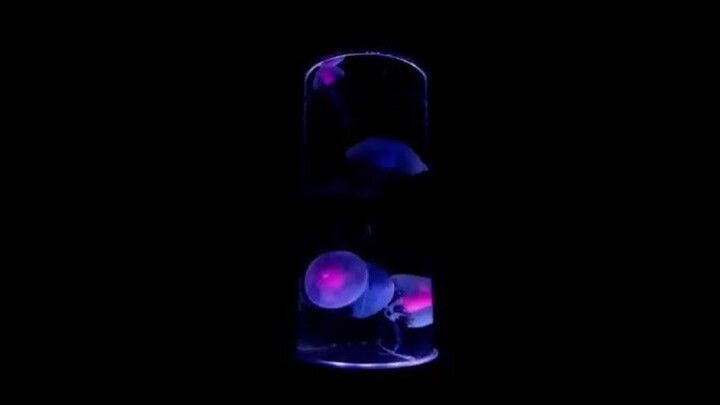 Worship Music 2026Thank You Lord Nonstop Hillsong Music Playlist Top Christian W