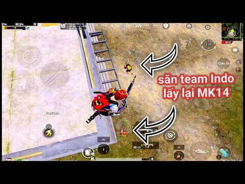 PUBG Mobile - Lục Tung Map Tìm Team Indo Lấy Lại MK14 Và Cái Kết Khóc Ròng..