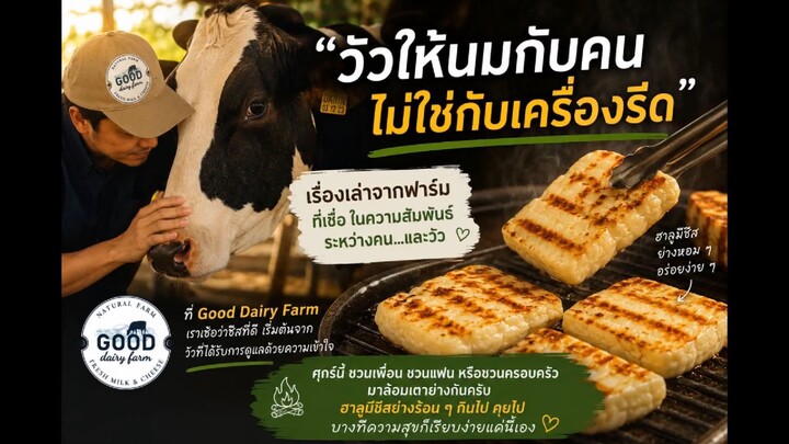 วัวให้นมกับคน ไม่ใช่กับเครื่องรีด