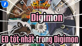 Digimon| ED tốt nhất trong Digimon_1