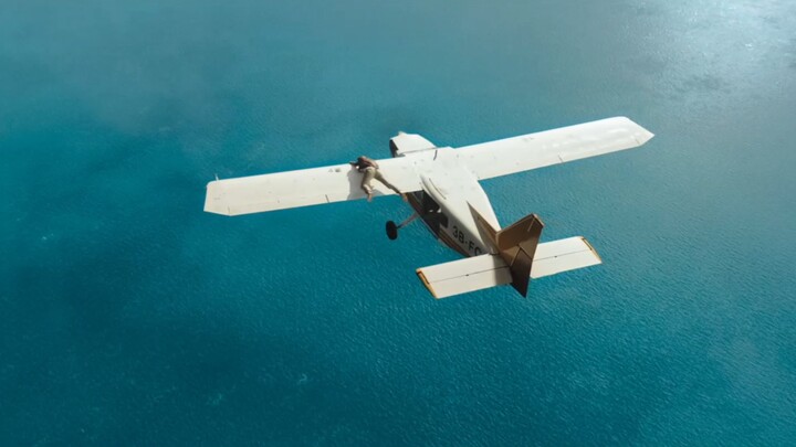 Woman actually climbed onto the plane to refuel