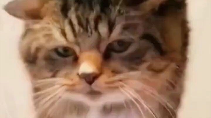 That little look in their eyes clearly says they’re not convinced.