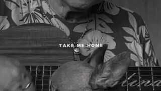 Take me home, Country road chorus