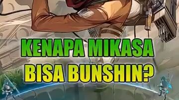 mikasa bisa bushin