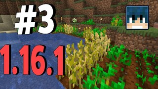 Minecraft ทำฟาร์มข้าวกัน #3 l มายคราฟ เอาชีวิตรอด 1.16