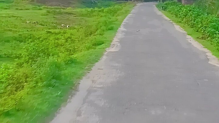 নারী কি দিয়া বানাইছে মাওলা