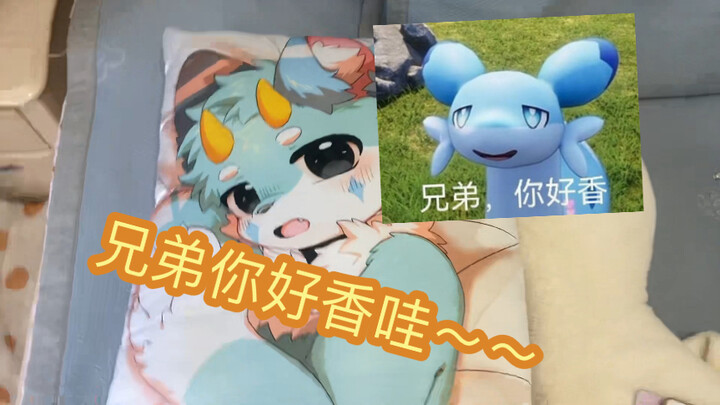 [Little Wood Furry] Unveiling a Furry Enthusiast’s Room!