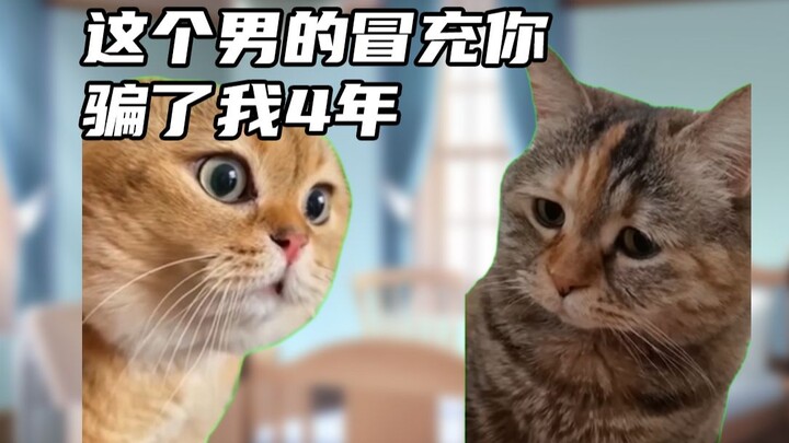[Cat Meme] The Story of a Male Fan Who Pretended to Be Me for 5 Years—and Only Targeted Other Guys