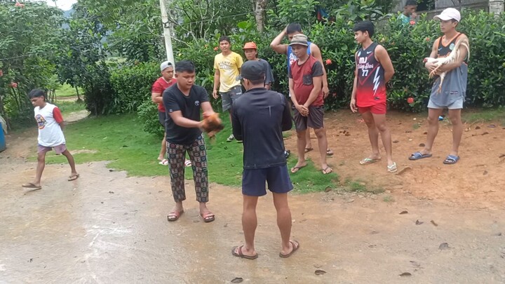 nice nok pang 3win Mona Yan