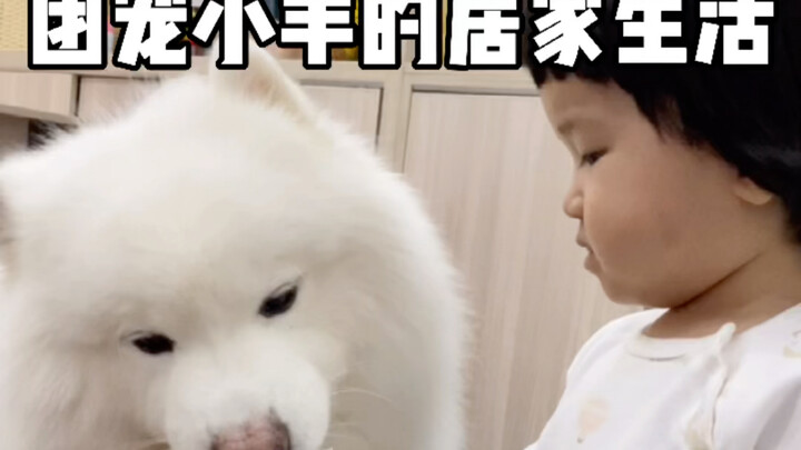 When your child is taken care of by his grandmother.