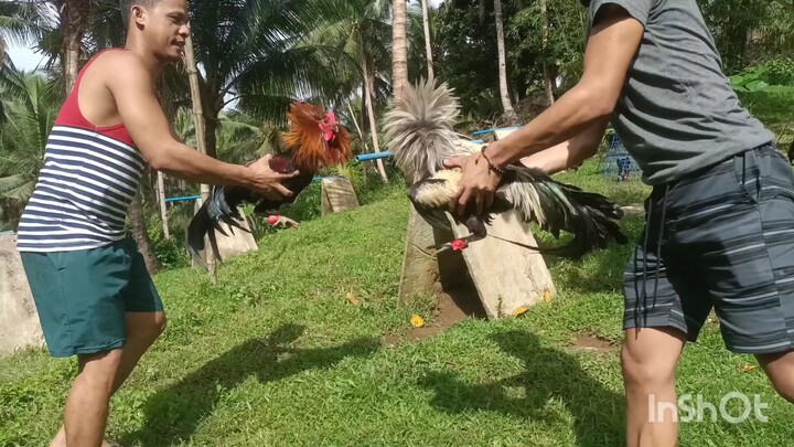 SIPAT KILATIS ANG BUYER NATIN.