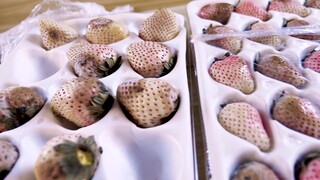 Try the white strawberries for 3 yuan each! I spent so much money to buy a bunch of rotten fruits