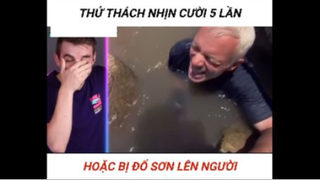 Thử thách nhịn cười hoặc bị đổ sơn lên người part 4 | #giaitri
