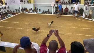 Polillo, Quezon (April 27, 2024)