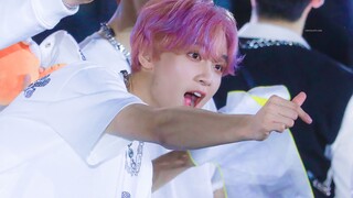 【4K cận mặt】Fan cứng chuyên quay nhóm nữ với 374 nghìn người theo dõi đã đăng tải video trực tiếp du