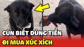 Chú chó thông minh biết dùng TIỀN để MUA XÚC XÍCH 😍 | Yêu Lu