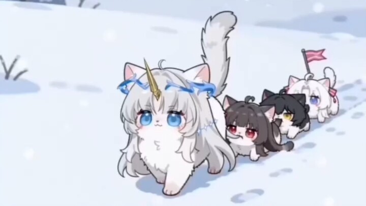 Con sâu mèo dài