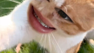 ฉันไม่อยากกลับบ้านกับคุณจริงๆ