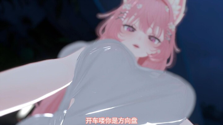 顶级赛车手