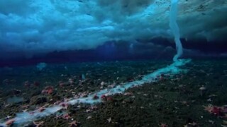 Real death ice pillars exist beneath the Antarctic ice! Captured freezing everything in its icy grip
