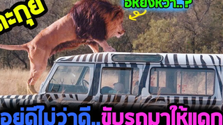 น้องเหมี๋ยวยักษ์ VS คนฉลาดน้อย l ตะกุยหนัง l - หนีนรกเขี้ยวนักล่า