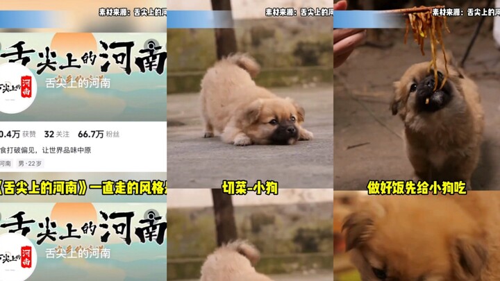 “Taste of Henan” unintentionally hit the viral jackpot, even using a dog as a comma—gotta say, it’s 