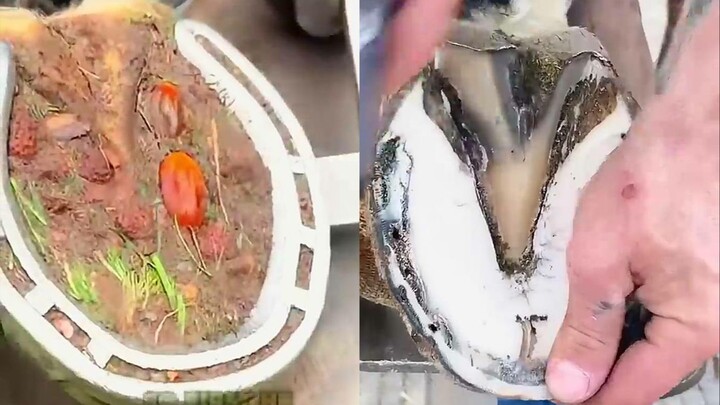 Gờ giảm tốc cho đàn ông (sửa móng ngựa)