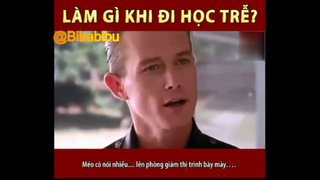 ĐI HỌC TRỄ THÌ LÀM GÌ CHO NGẦU #funny