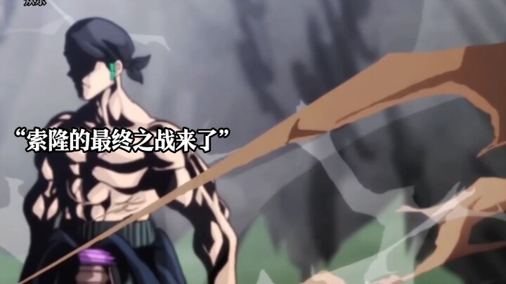 "I didn't expect that Zoro's final battle would end like this."