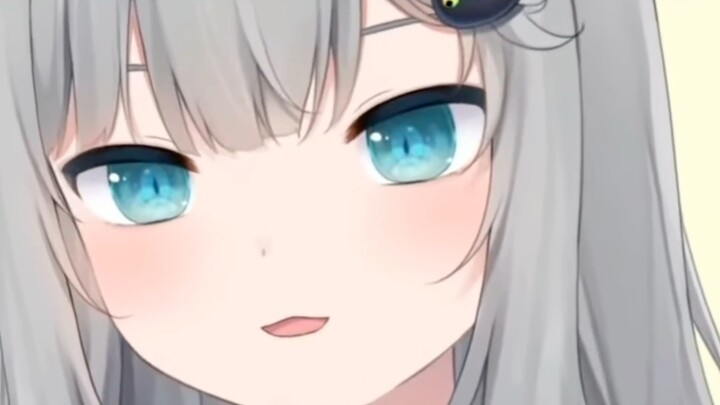 【قط جانتشنغ】أنا نعسان قليلاً