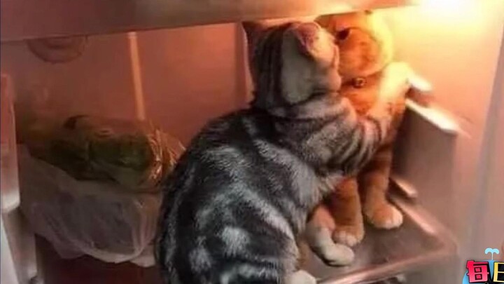 [Daily Awkward Moment] This is the first time I’ve seen someone sneak into a fridge to make out. It’