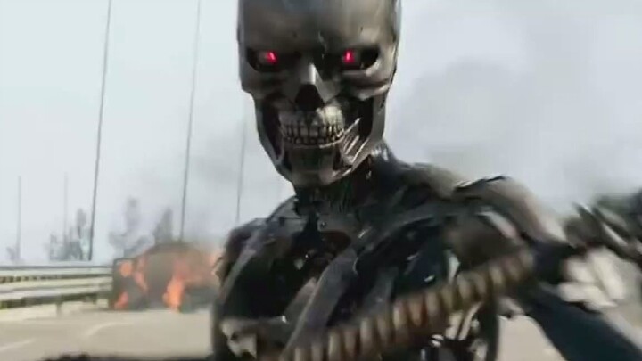 You shouldn't have any expectations for the Terminator series directed by anyone other than Cameron!