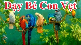 Dạy bé học con vẹt | Baby learns about parrots | PingTV