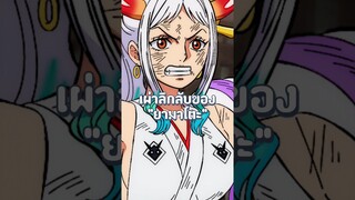 เผ่าของยามาโตะที่ไม่ปรากฏในวันพีช!